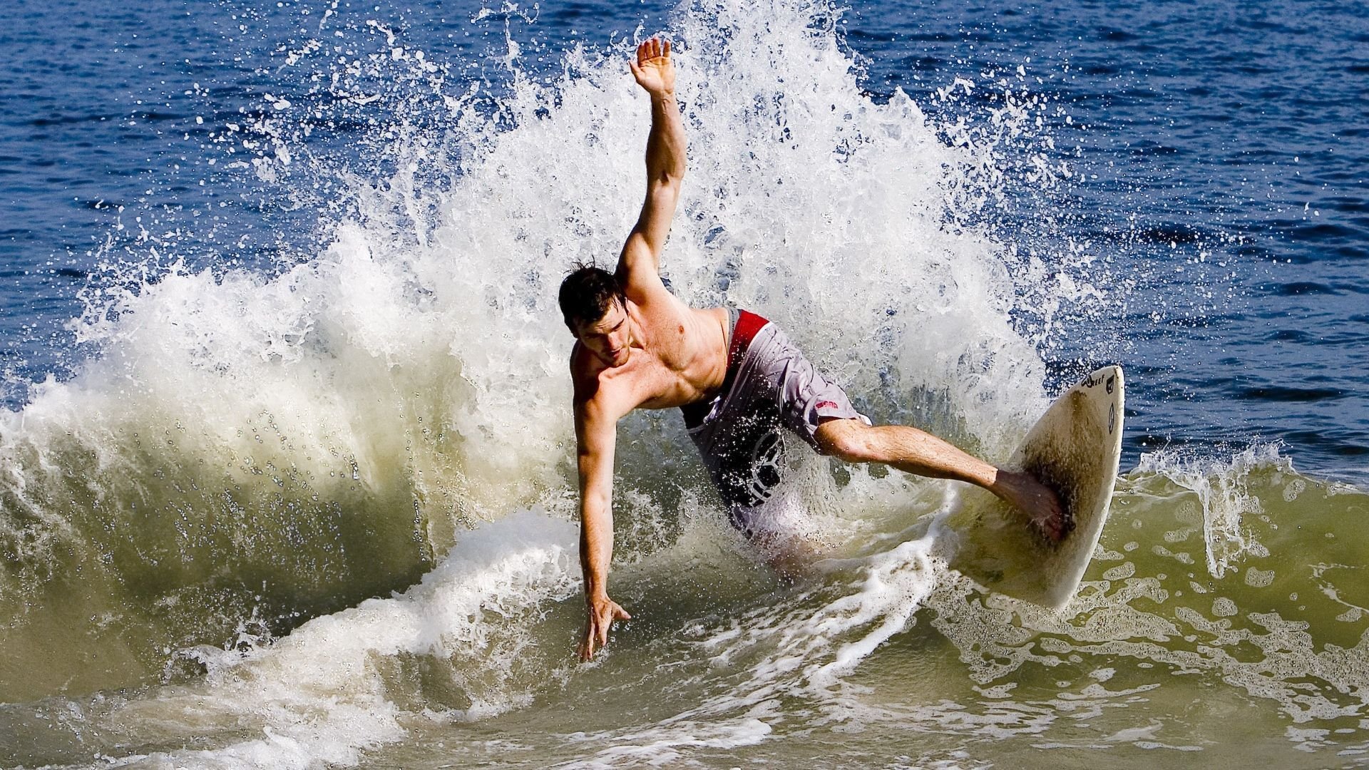 WBO与IBF联手对抗竞争，共同制定战略，wba和wbo区别